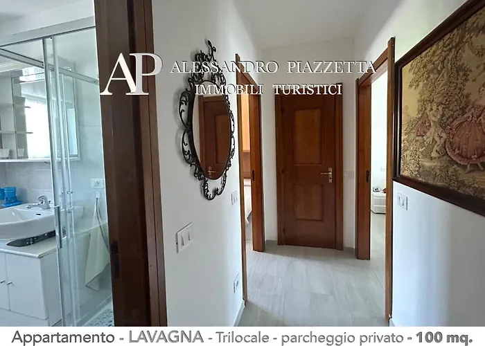 Aed * Lavagna