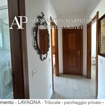 Aed * Lavagna