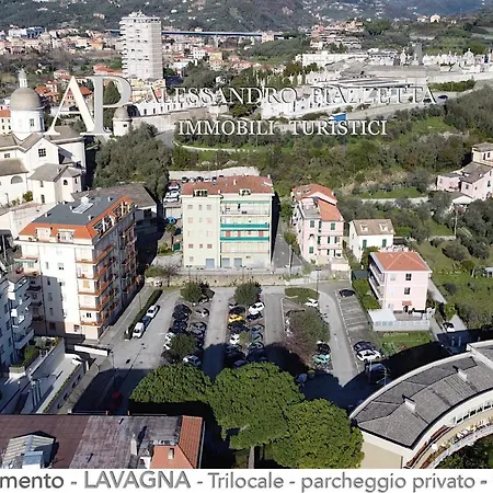 Aed Lavagna