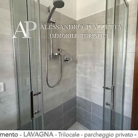 Aed * Lavagna